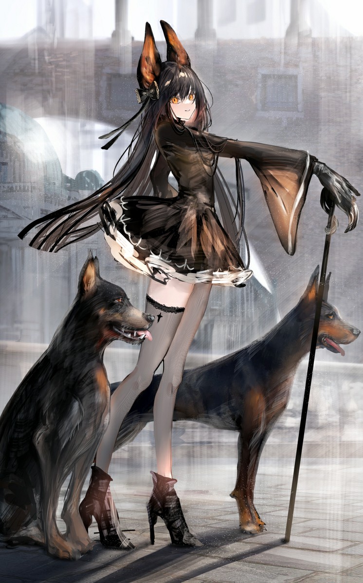 【动漫美图】P站美图推荐 - 犬耳特辑-21