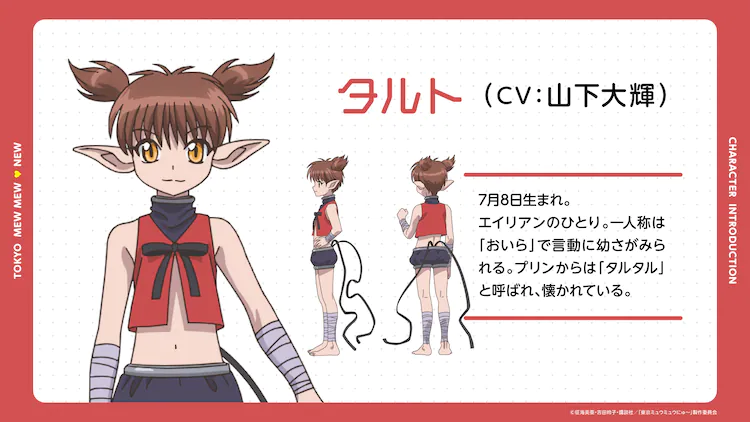 TV动画《东京猫猫NEW～♡》第2弹PV、追加CAST发表-3