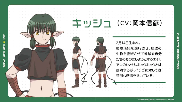 TV动画《东京猫猫NEW～♡》第2弹PV、追加CAST发表-1