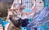 【cosplay】戚顾儿 – 王者荣耀 貂蝉 [19P-271MB]
