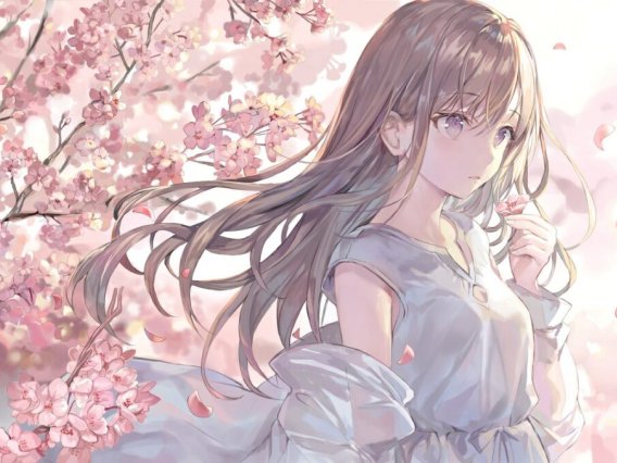 【动漫美图】P站美图推荐 – 茶色长发特辑