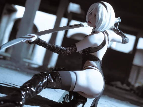 【cosplay】秋和柯基 – 2B旗袍同人 [25P-363MB]