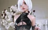 【cosplay】eliza喵喵 – 2B旗袍 [14P-65MB]