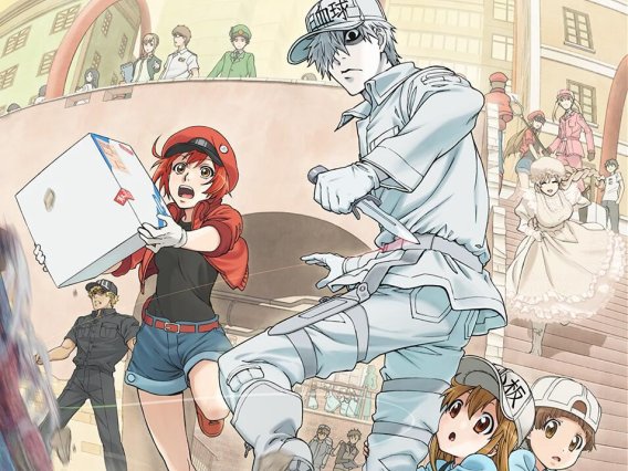 【动漫推荐】工作细胞