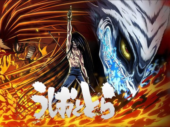 【动漫推荐】潮与虎