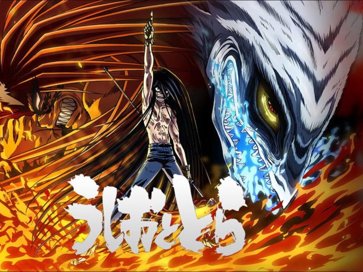 【动漫推荐】潮与虎