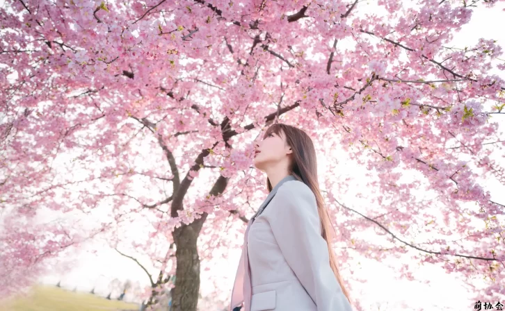 【美女写真】紫氯氯 – 樱花下的JK少女 [18P-72MB]